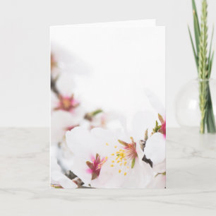 Almond blooming card