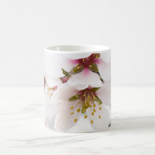 Almond blooming coffee mug