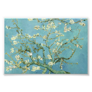 Almond Blossom by Van Gogh Fine Art Photo Prints