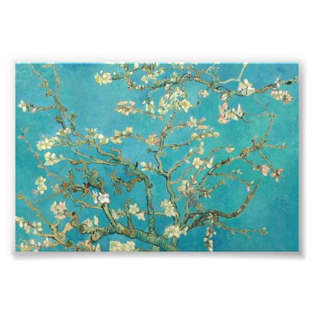 Almond Blossom by Vincent van Gogh Photo Print (Front)
