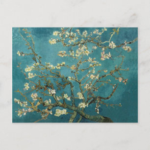 Almond Blossom Postcard