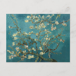 Almond Blossom Postcard