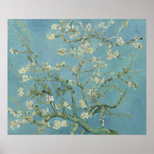 Almond Blossom: Vincent Van Gogh Poster