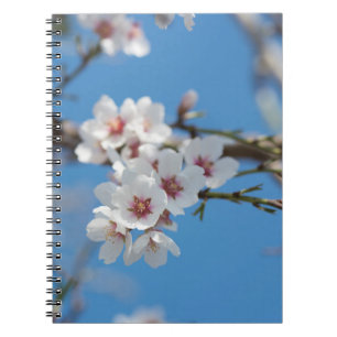 Almond blossoming notebook