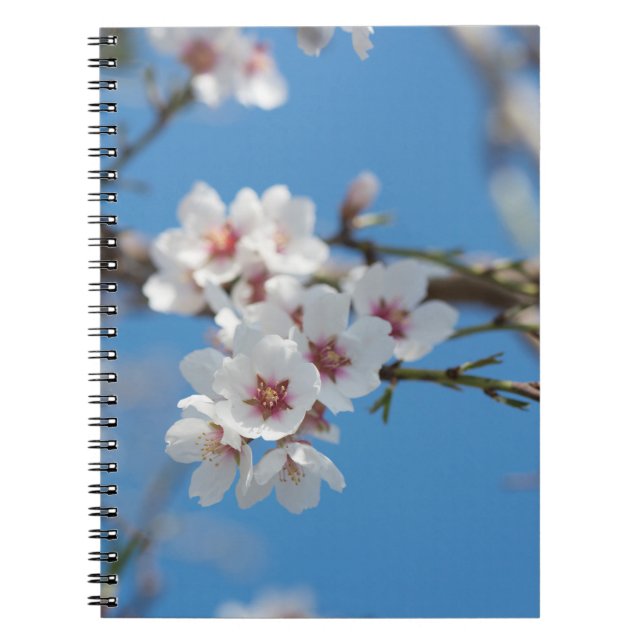 Almond blossoming notebook (Front)