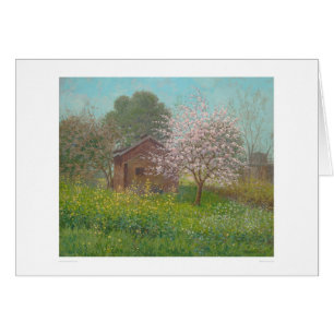 Almond Blossoms and Wild Mustard (1152)