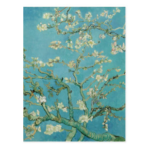 Almond Blossoms by Vincent van Gogh Postcard