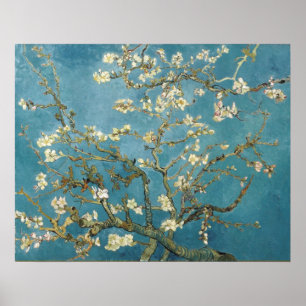 Almond Blossoms by Vincent van Gogh Poster