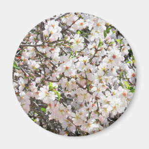 Almond blossoms magnet