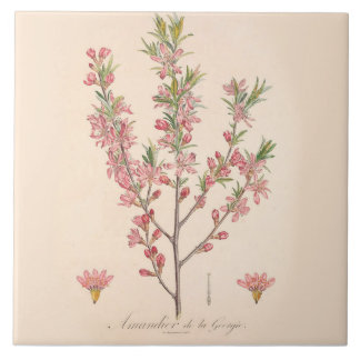 Almond Blossoms Printed Ceramic Tile Kitchen Decor