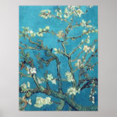 Almond Blossoms unframed Poster (Front)