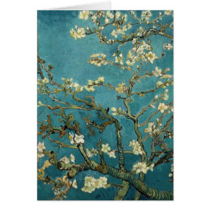 Almond Branches in Bloom
