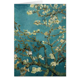 Almond Branches in Bloom