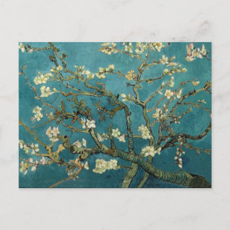 Almond Branches in Bloom Postcard
