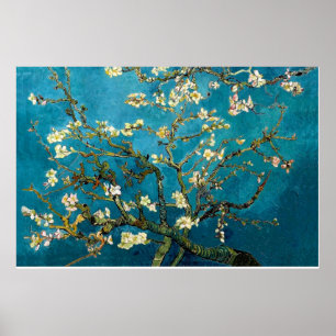 Almond Branches in Bloom Poster Print