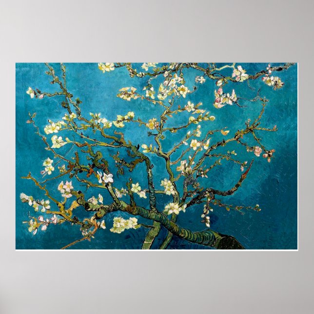 Almond Branches in Bloom Poster Print (Front)
