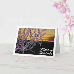Almond Tree at Night Card