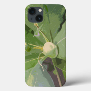 Almond Tree Closeup iPhone 13 Case