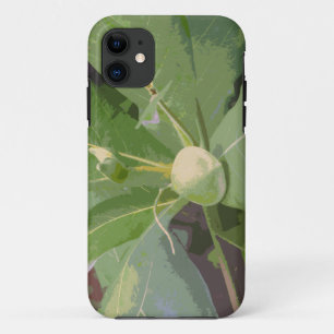 Almond Tree Closeup iPhone 11 Case
