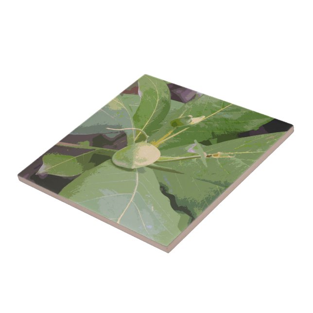 Almond Tree Closeup Ceramic Tile (Side)
