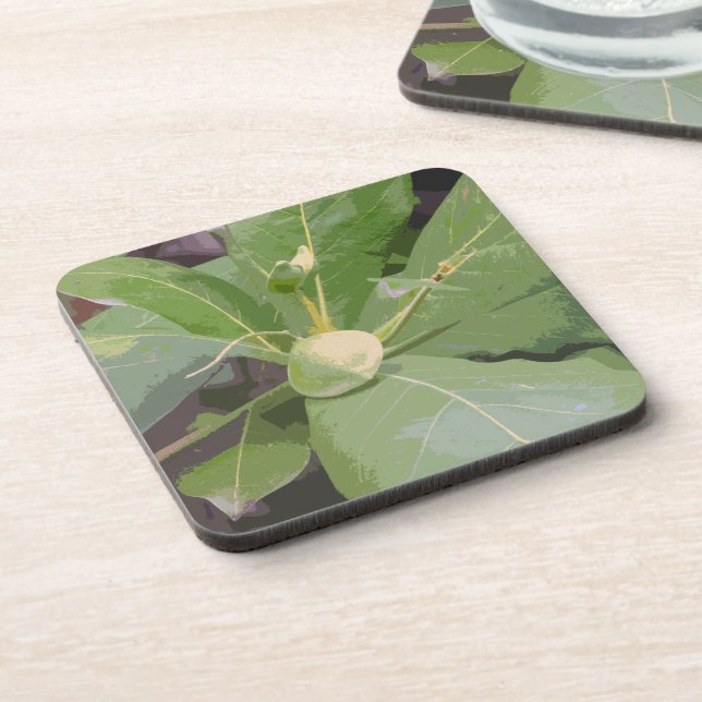 Almond Tree Closeup Coaster (Left Side)