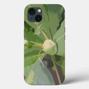 Almond Tree Closeup iPhone Case