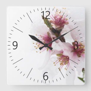 Almond tree flowers covered by snow square wall clock