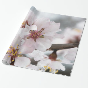 Almond tree flowers covered by snow wrapping paper