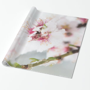 Almond tree flowers covered by snow wrapping paper