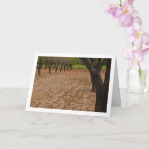 Almond Tree Orchard Card