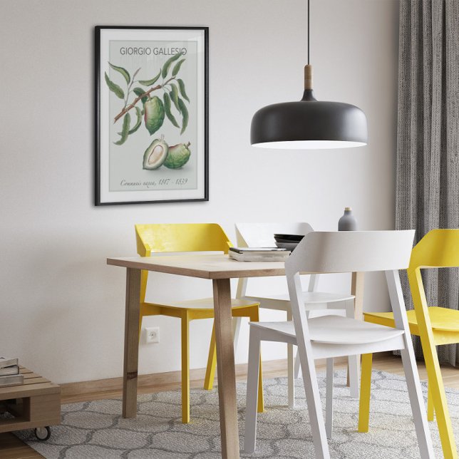 Almond, Vintage Botanical Illustration Poster (Creator Uploaded)