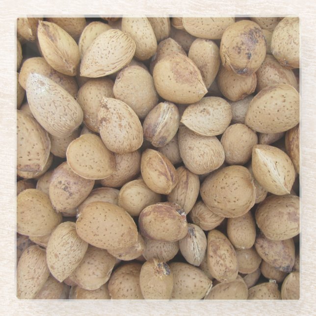 Almonds Fall Autumn Patterns Glass Coaster (Front)