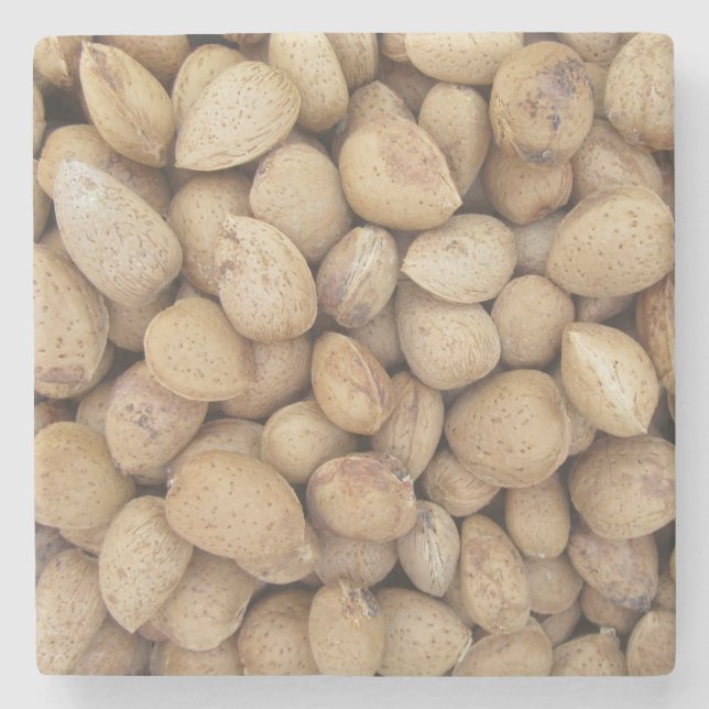 Almonds Fall Autumn Patterns Stone Coaster (Front)