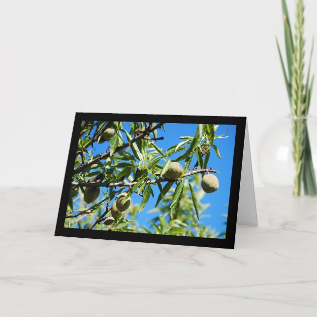 Almonds in Blue Sky Card (Front)
