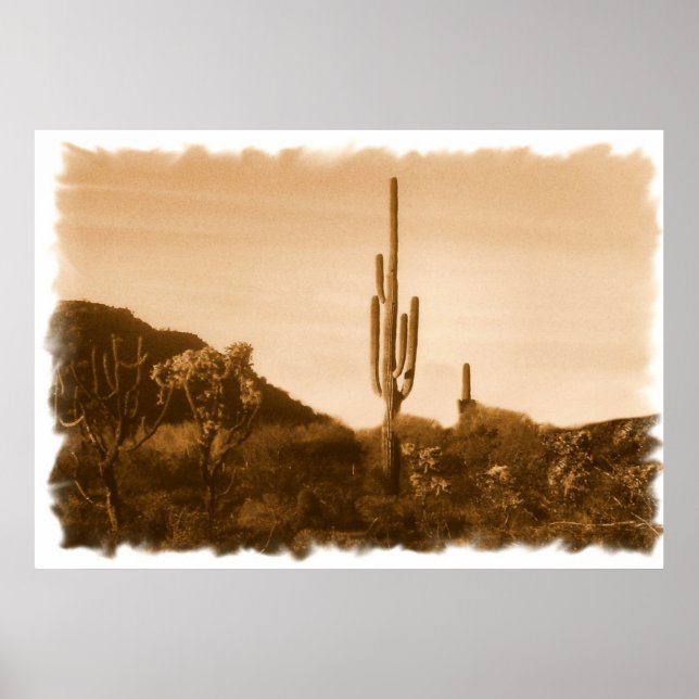 almost gone (desert in sepia) print (Front)
