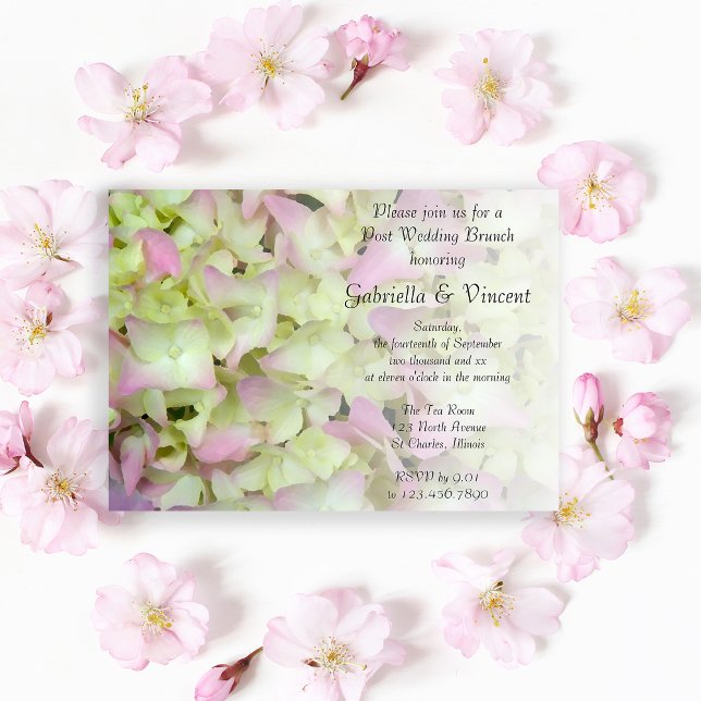 Almost Pink Hydrangea Floral Post Wedding Brunch Invitation (Creator Uploaded)