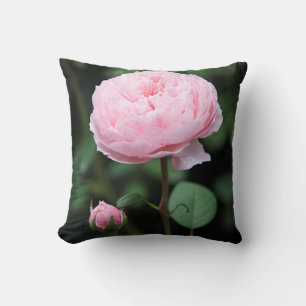 Alnwick Castle Rose Cushion