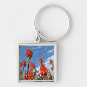Aloe Arborescens key chain
