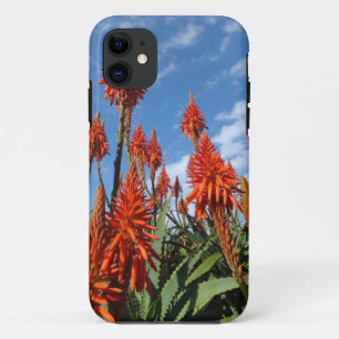 Aloe Arborescents iPhone 5 Case-Mate 11 Case