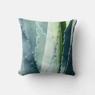 Aloe Cushion