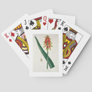 Aloe from 'Phytographie Medicale' by Joseph Roques Playing Cards
