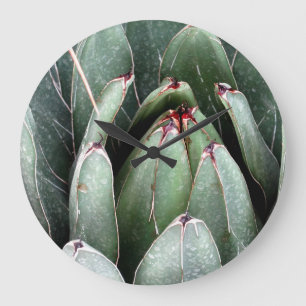 Aloe Green Plant Photo Round (Large) Wall Clock