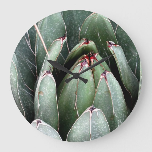 Aloe Green Plant Photo Round (Large) Wall Clock (Front)