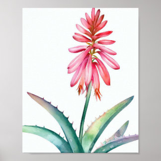 Aloe in bloom poster