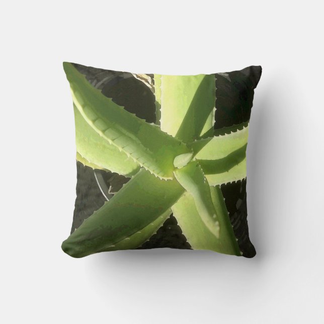 Aloe Plant Cushion (Front)