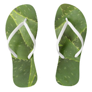 Aloe Thongs