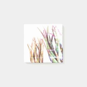 ALoe Vera, Art Notes