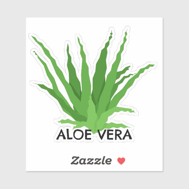 Aloe vera Green Succulent (Sheet)