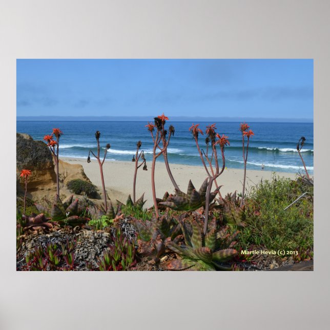 Aloe Vera in Half Moon Bay Poster (Front)