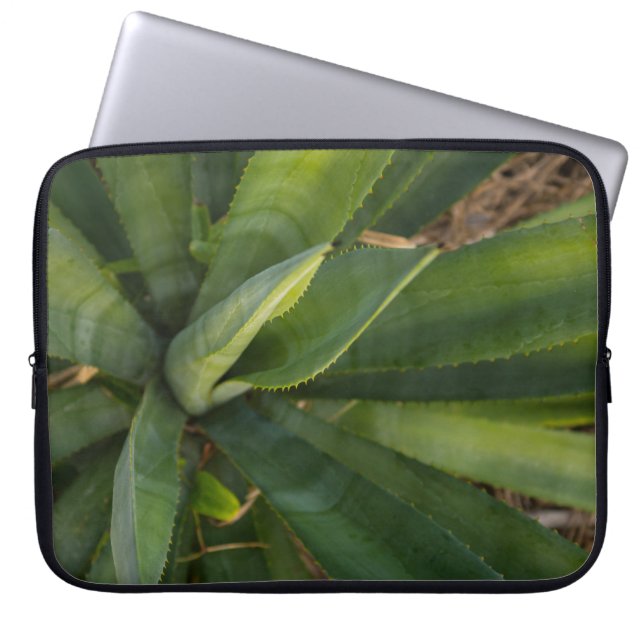 Aloe Vera Laptop Sleeve (Front)